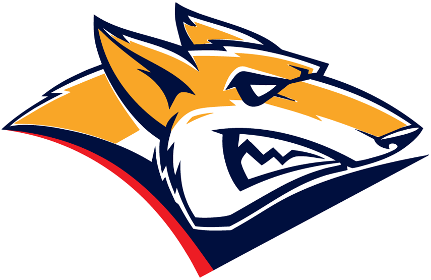 Metallurg Magnitogorsk 2015-2018 Primary Logo iron on transfers for clothing